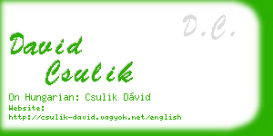 david csulik business card